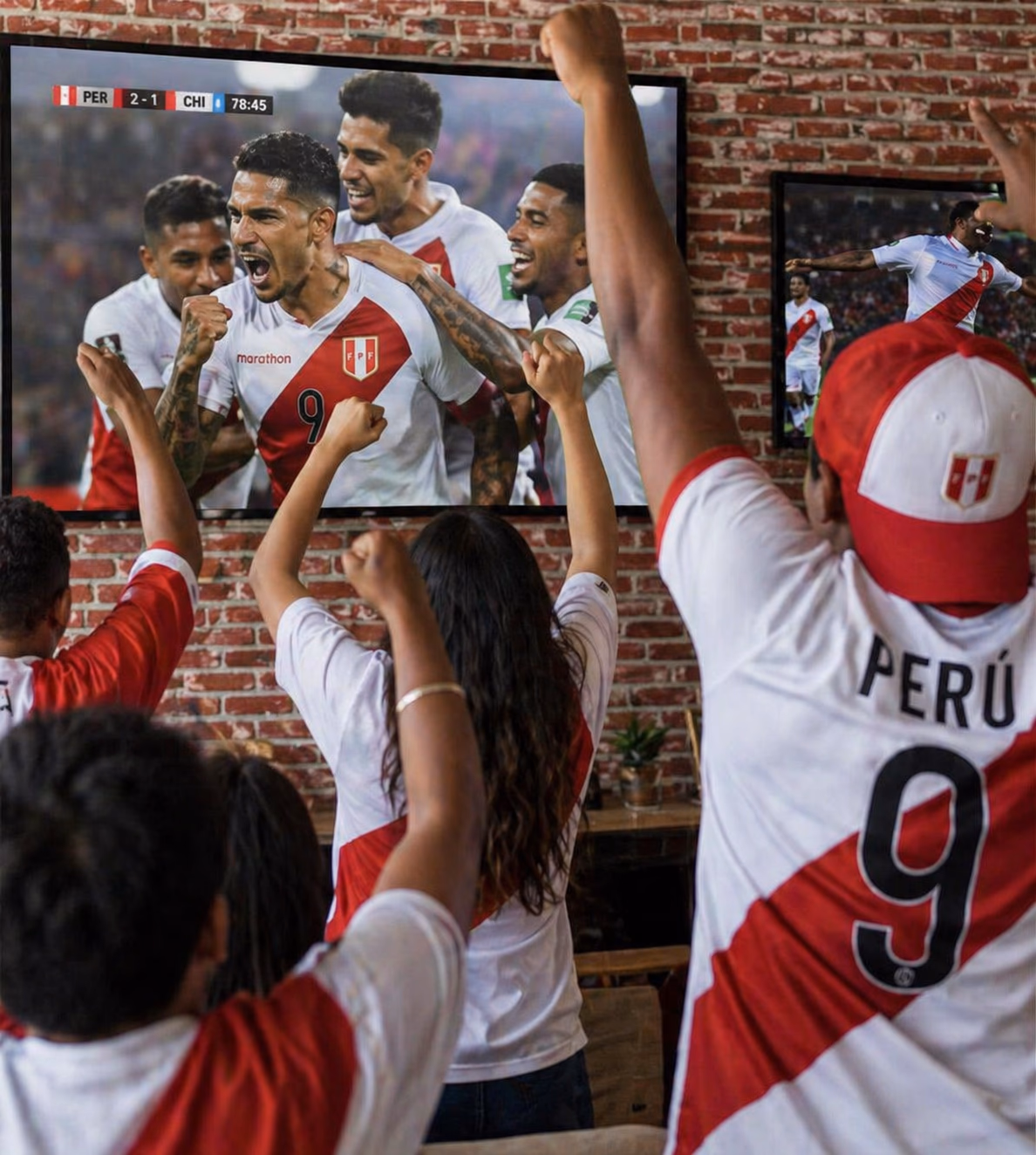 TV para bares y restaurantes